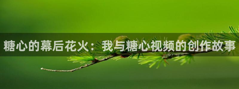 糖心vlog封号：糖心的幕后花火：我与糖心视频的创作故事