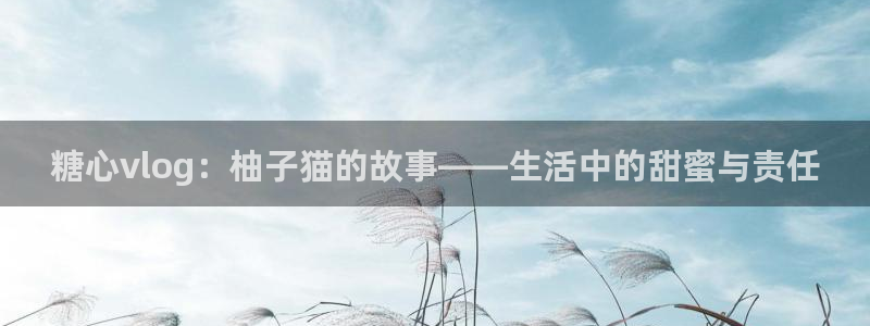 糖心vlog皮皮娘：糖心vlog：柚子猫