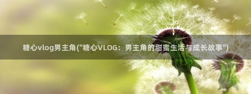 心糖vlog lingling：糖心vl