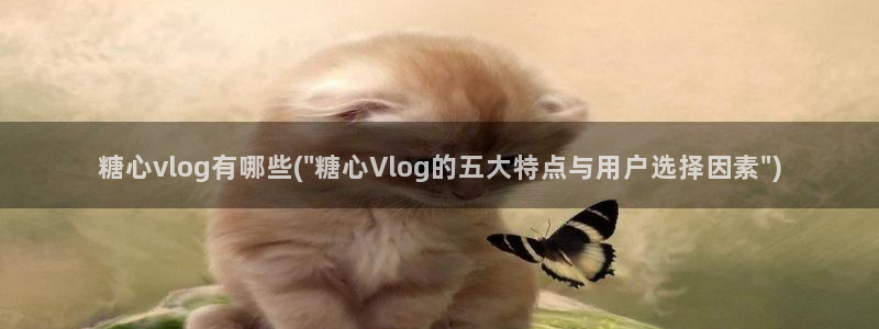 糖心姐姐的vlog：糖心vlog有哪些(\