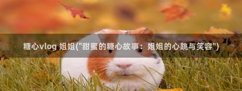 糖心vlog在线资源：糖心vlog 姐姐