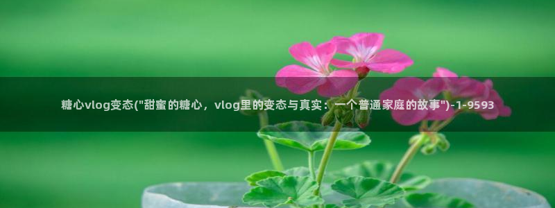 糖心VLOG传媒唐伯虎：糖心vlog变态(\