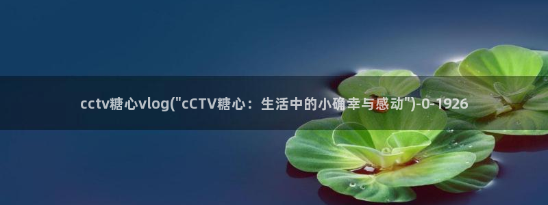 糖心vlog老版：cctv糖心vlog(\