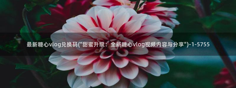 糖心vlog粉色恋人：最新糖心vlog兑换码(\
