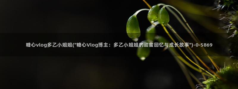 糖心Vlog cos蕾：糖心vlog多乙小姐姐(\