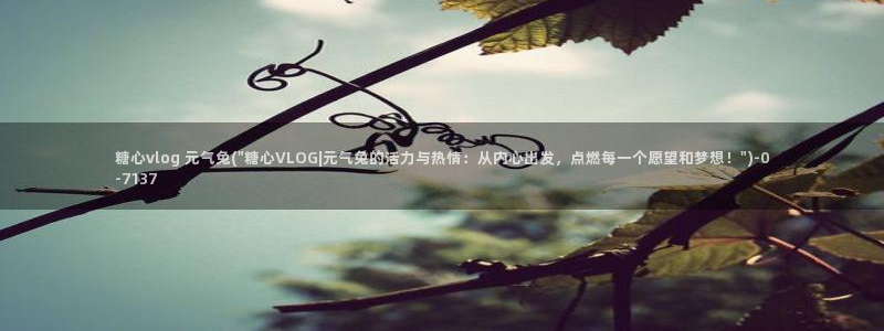 糖心VLOG官网二维码：糖心vlog 元