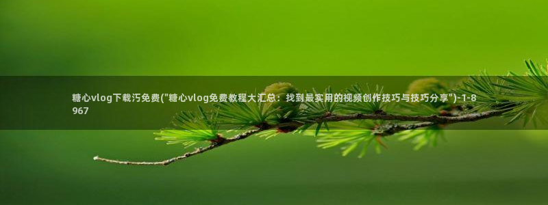 糖心vlog娱乐：糖心vlog下载汅免费