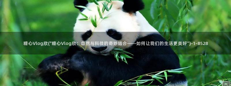 糖心vlog testflught：糖心Vlog欣(\