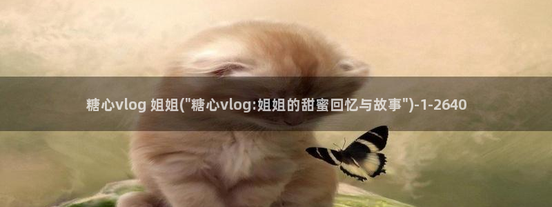 糖心VLOG传媒金善雅：糖心vlog 姐