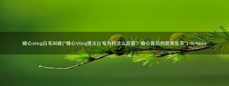 糖心vlog首页的是谁：糖心vlog白毛叫啥(\