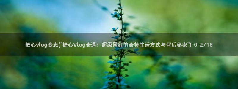 糖心vlog旅行女主角：糖心vlog变态