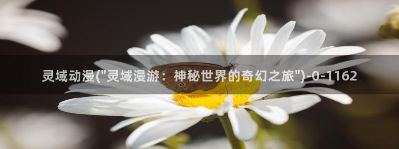 精灵之森动漫：灵域动漫(\