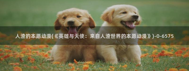 成人动漫：人渣的本愿动漫(《英雄与天使：来自人渣世界的本愿动漫》)