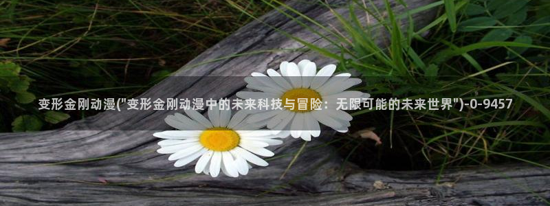 动漫主题曲